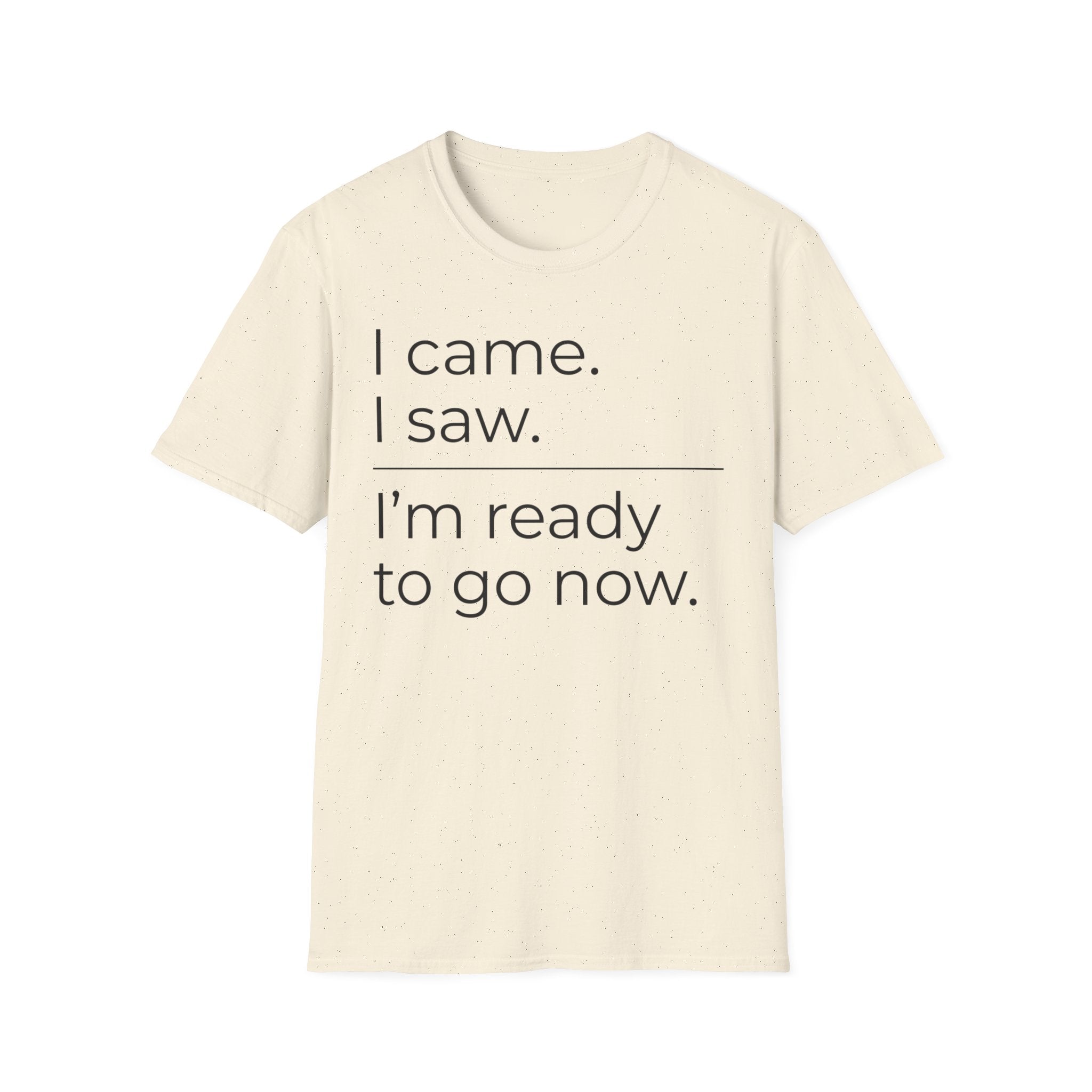 I Came, I Saw, Ready to Go T shirt