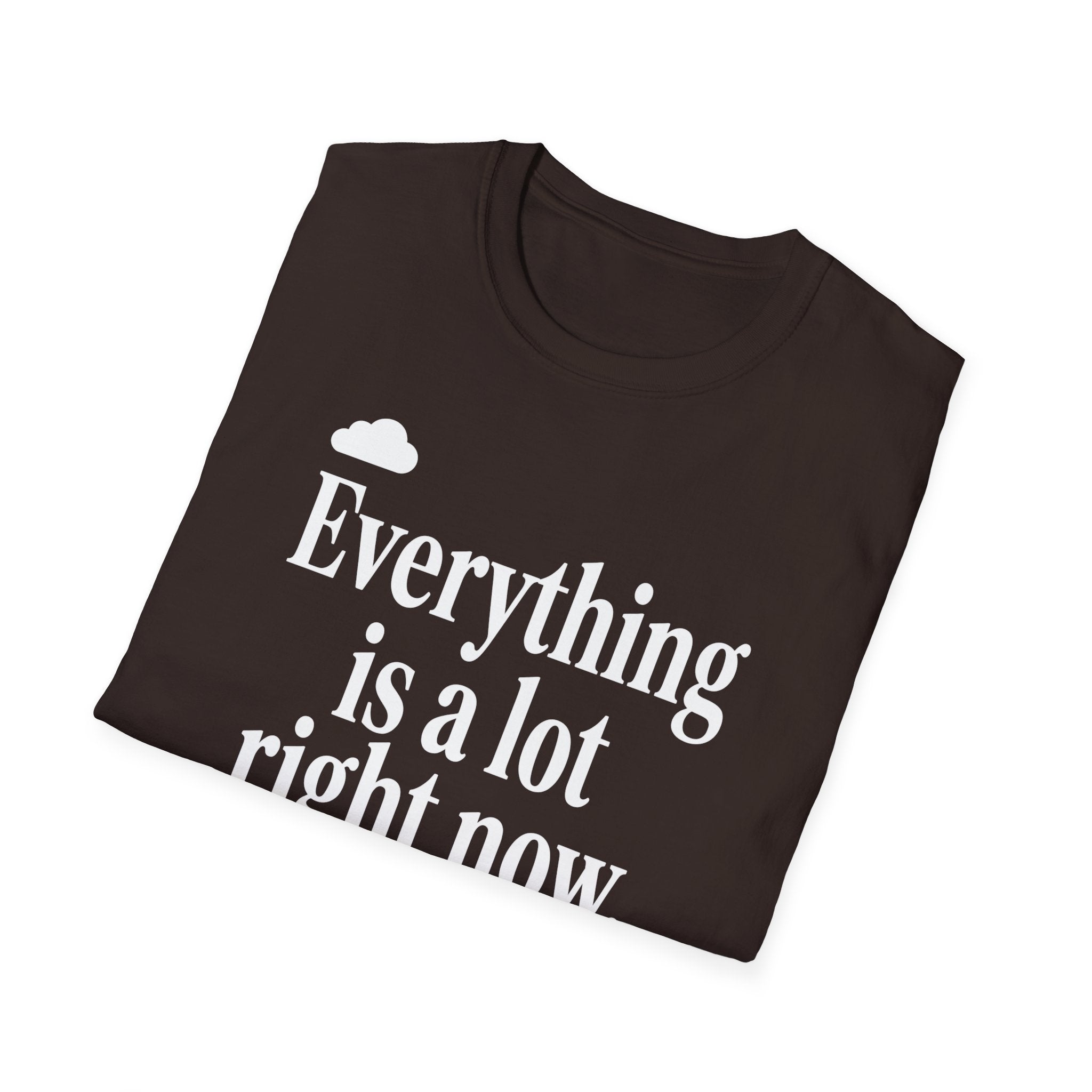 Everything Is A Lot Right Now T-Shirt