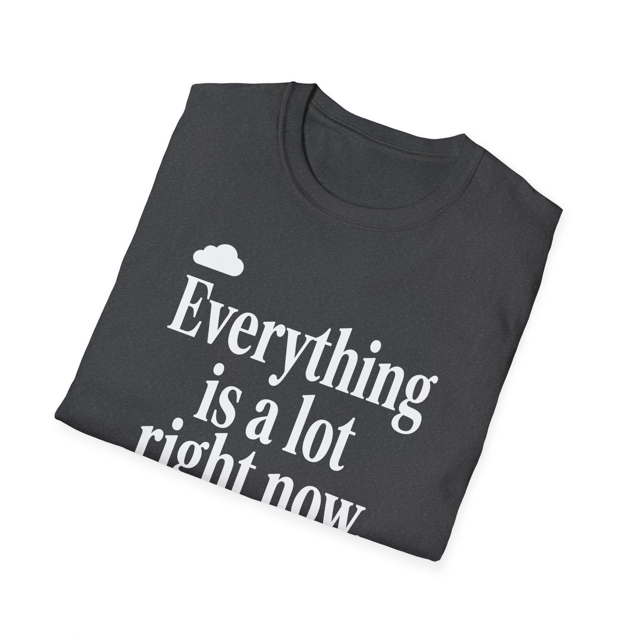 Everything Is A Lot Right Now T-Shirt