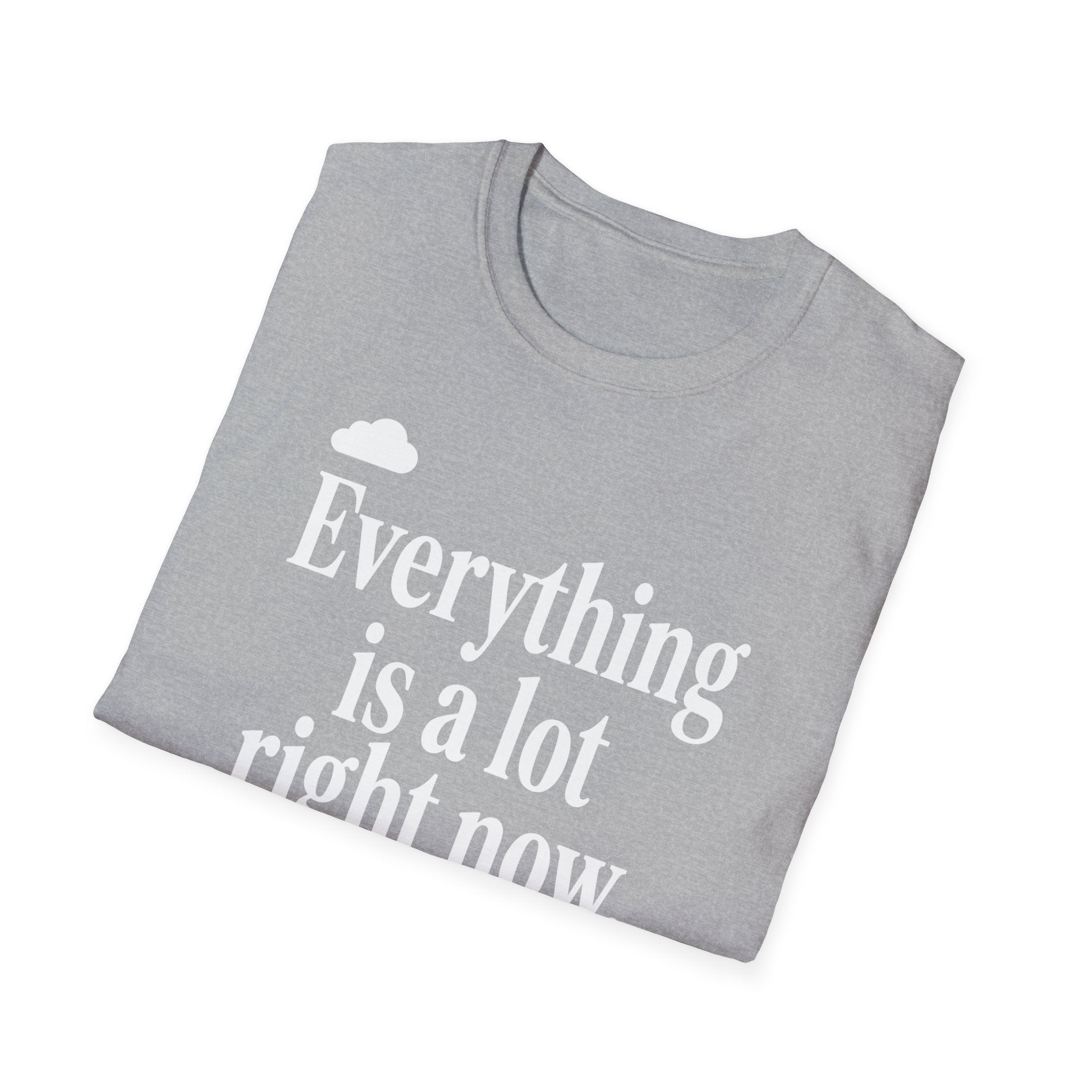 Everything Is A Lot Right Now T-Shirt
