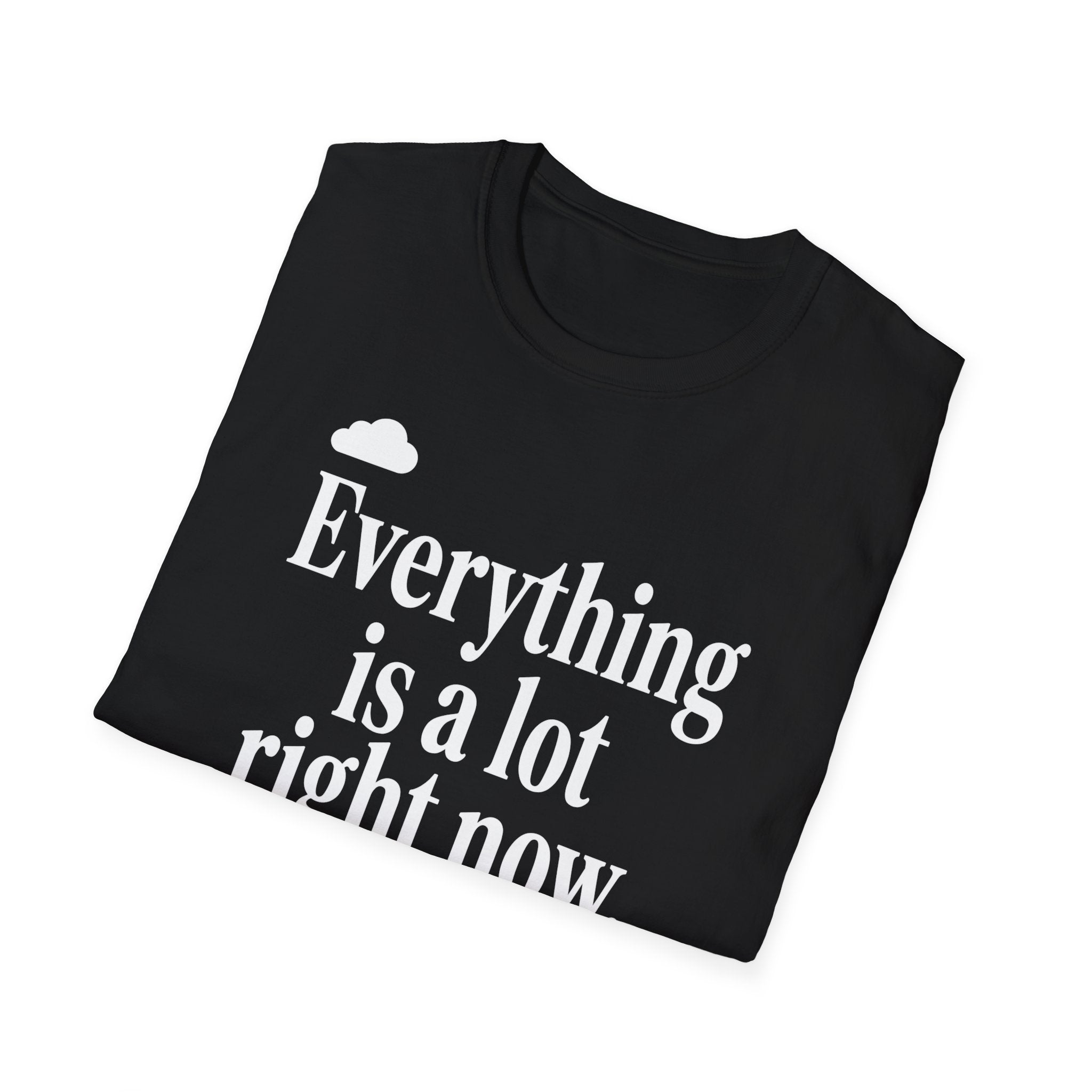Everything Is A Lot Right Now T-Shirt
